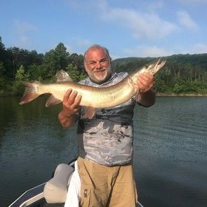 Meet your Posher, Paul